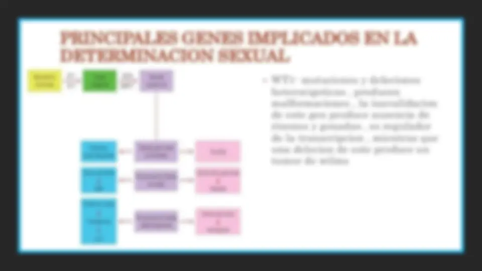 pf1b