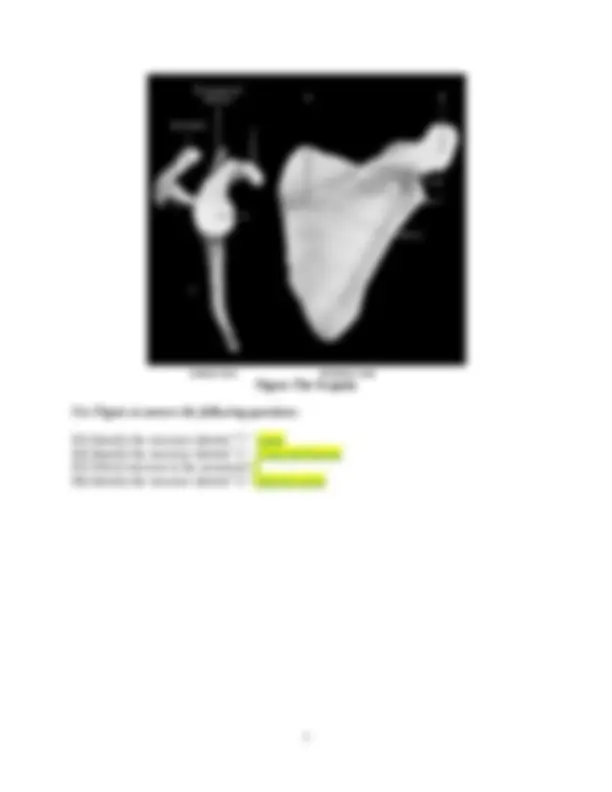 pf5