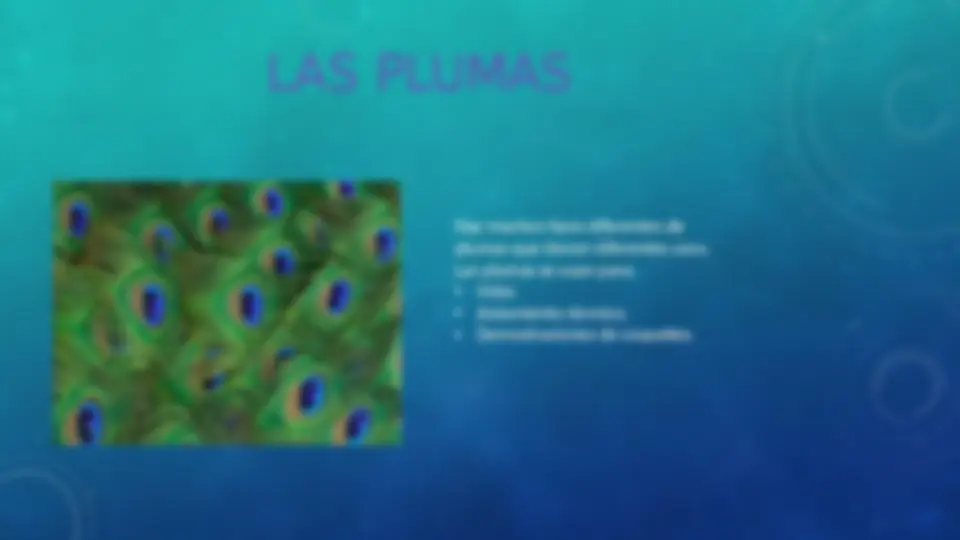pf5