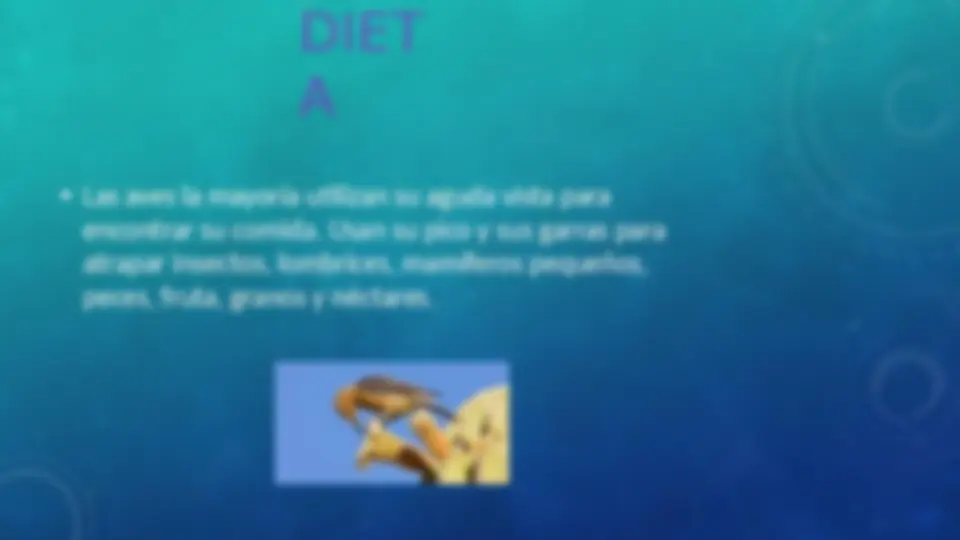 pfe