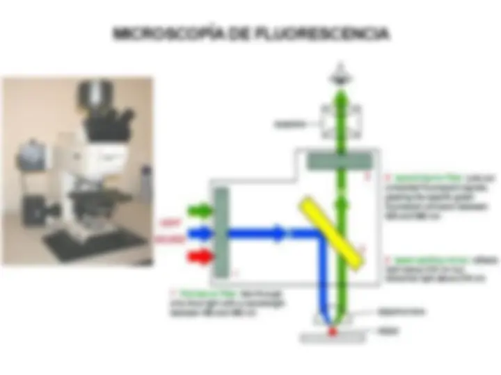 pfd
