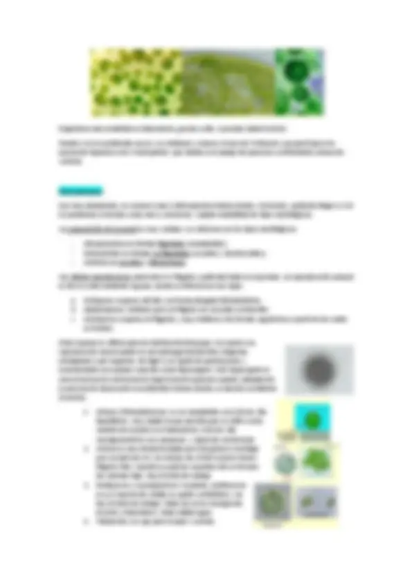 pf1b