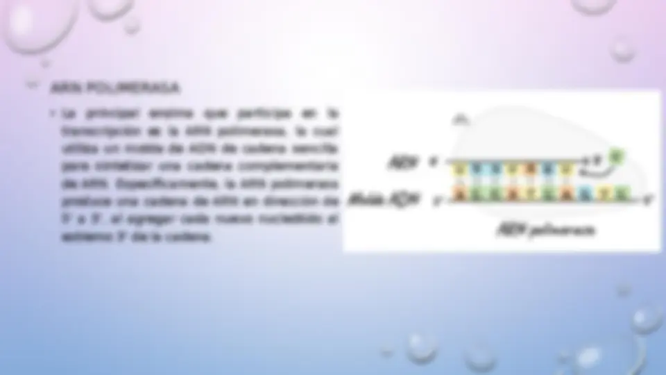 pf3