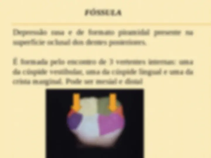 pf5f