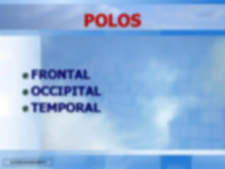 pf8