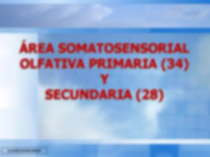 pf58