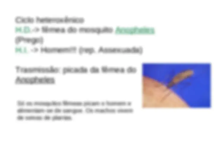 pfe