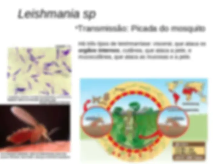 pfa