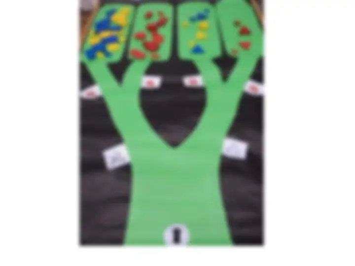 pf19