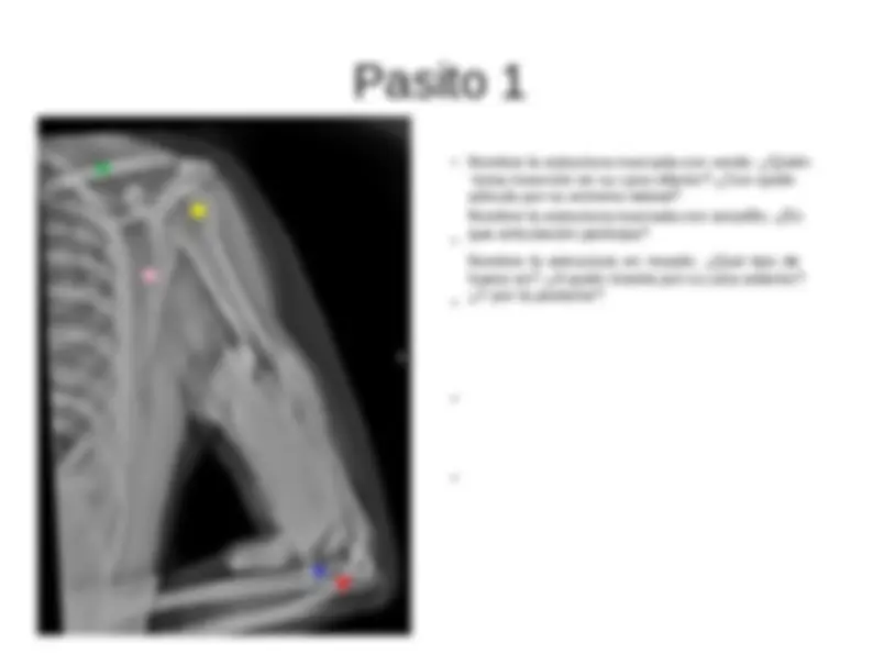 pf23