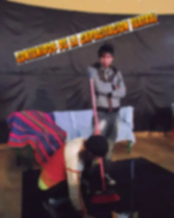 pf29