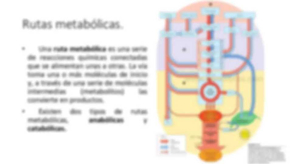 pf5