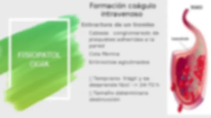 pf13