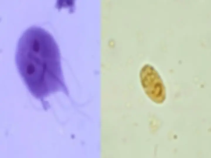 pf1c
