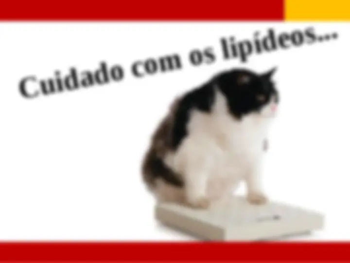 pfd
