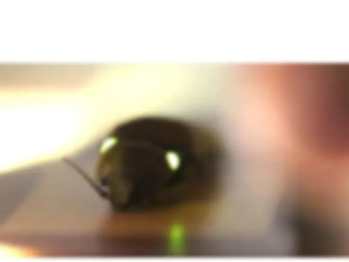 pfa
