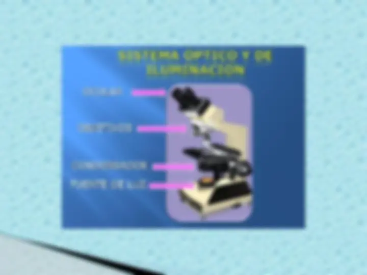 pf18