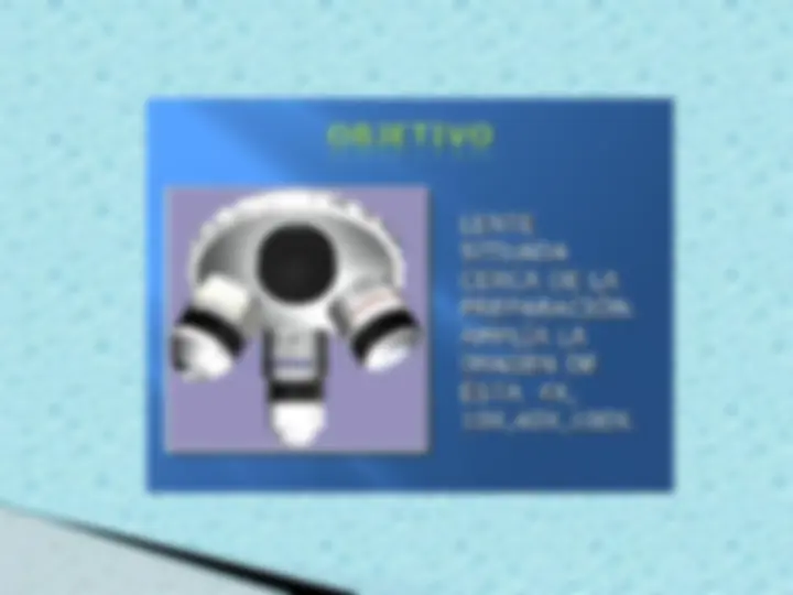 pf1b
