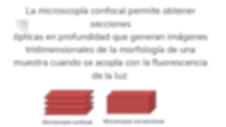 pf4