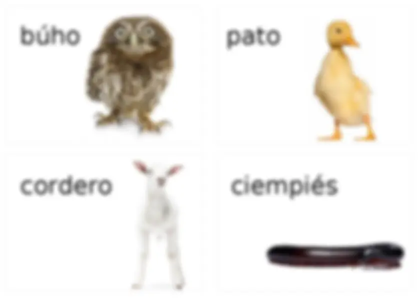 pf8
