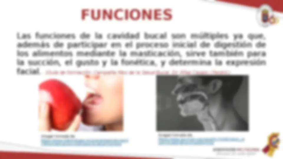 pf3