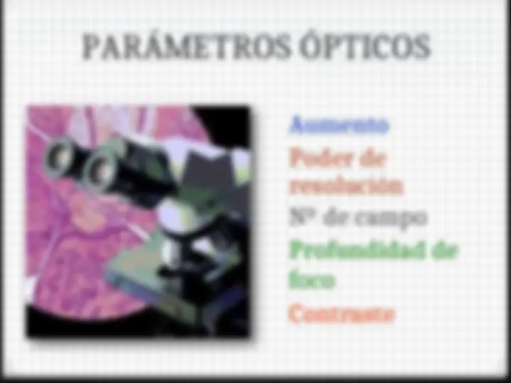 pf1e