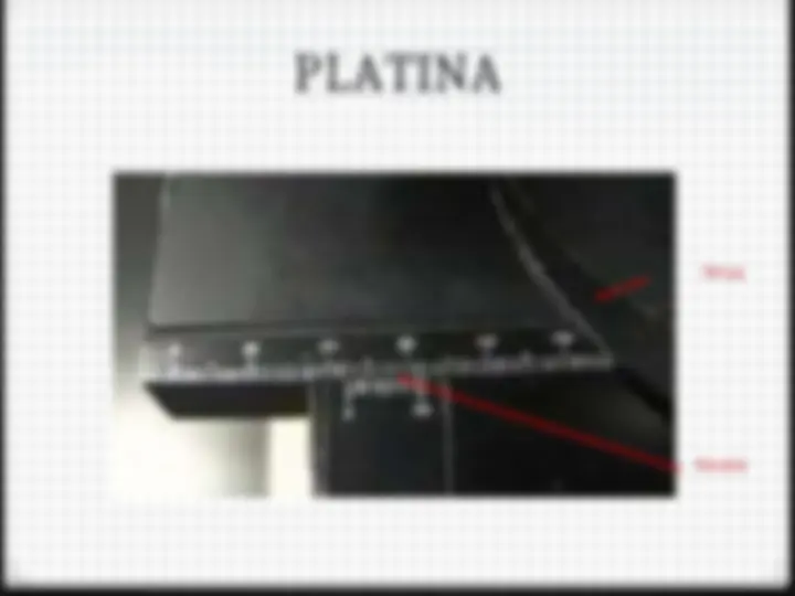 pf28