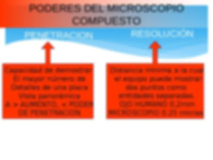 pf13