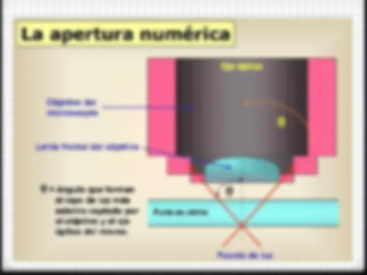 pf36
