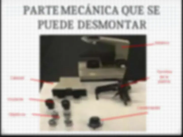 pf24