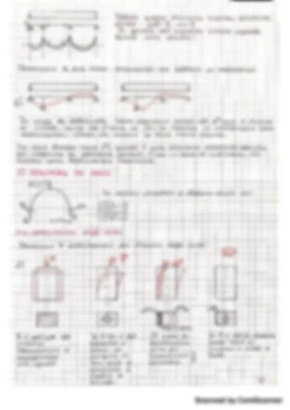 pf19