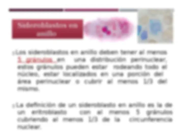 pf13