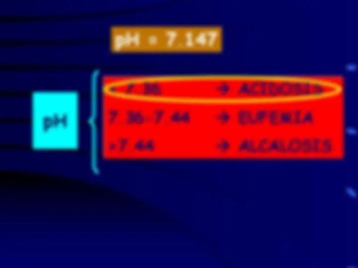 pf28
