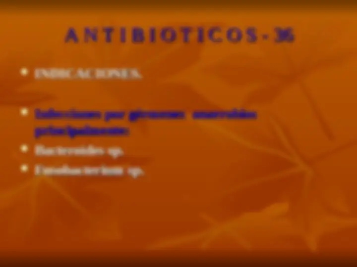 pf24