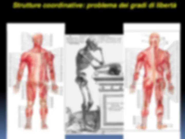 pfa