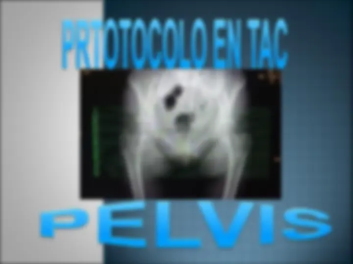 pf31