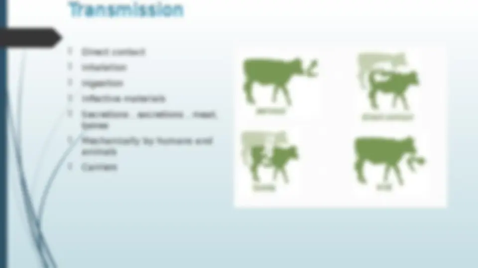 Foot and Mouth disease | Assignments Zoology | Docsity
