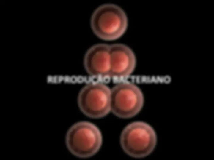 pf1f