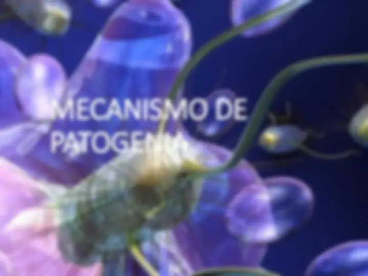 pf33