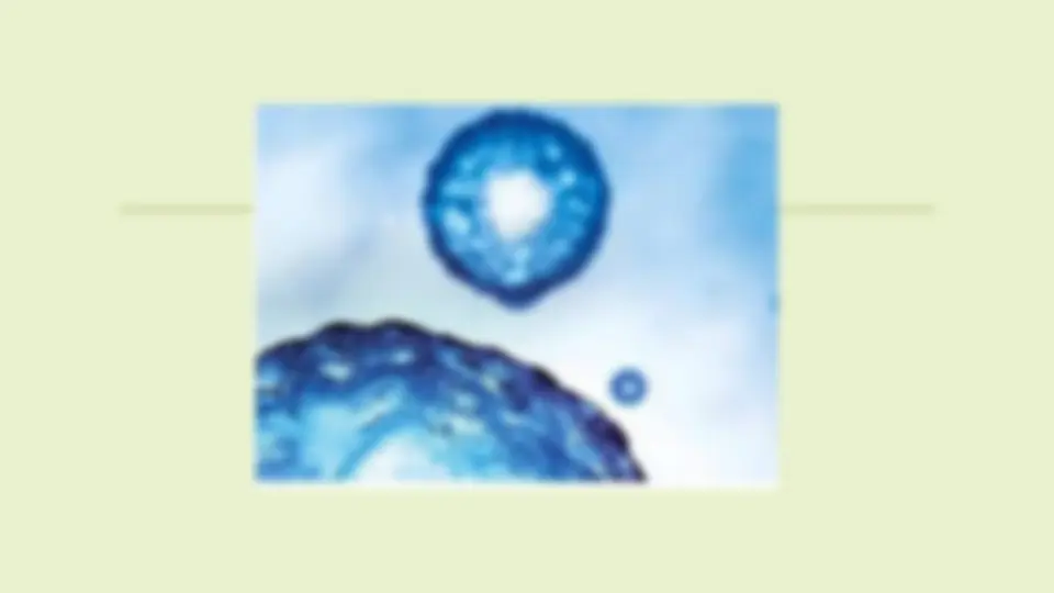pf3