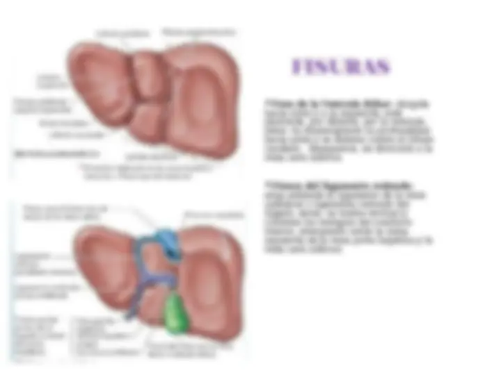 pfa