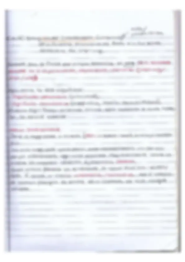 pf17