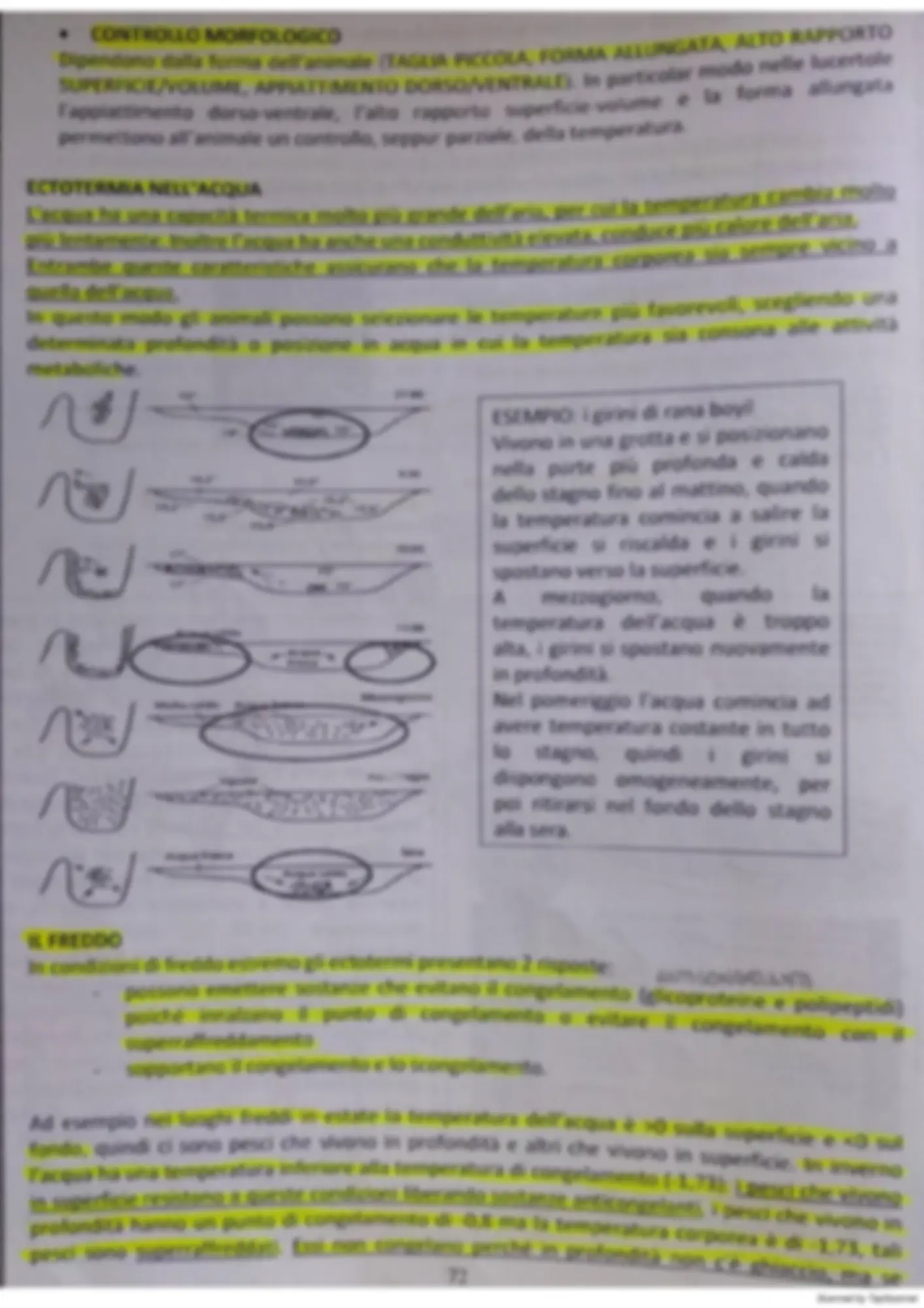 pf4