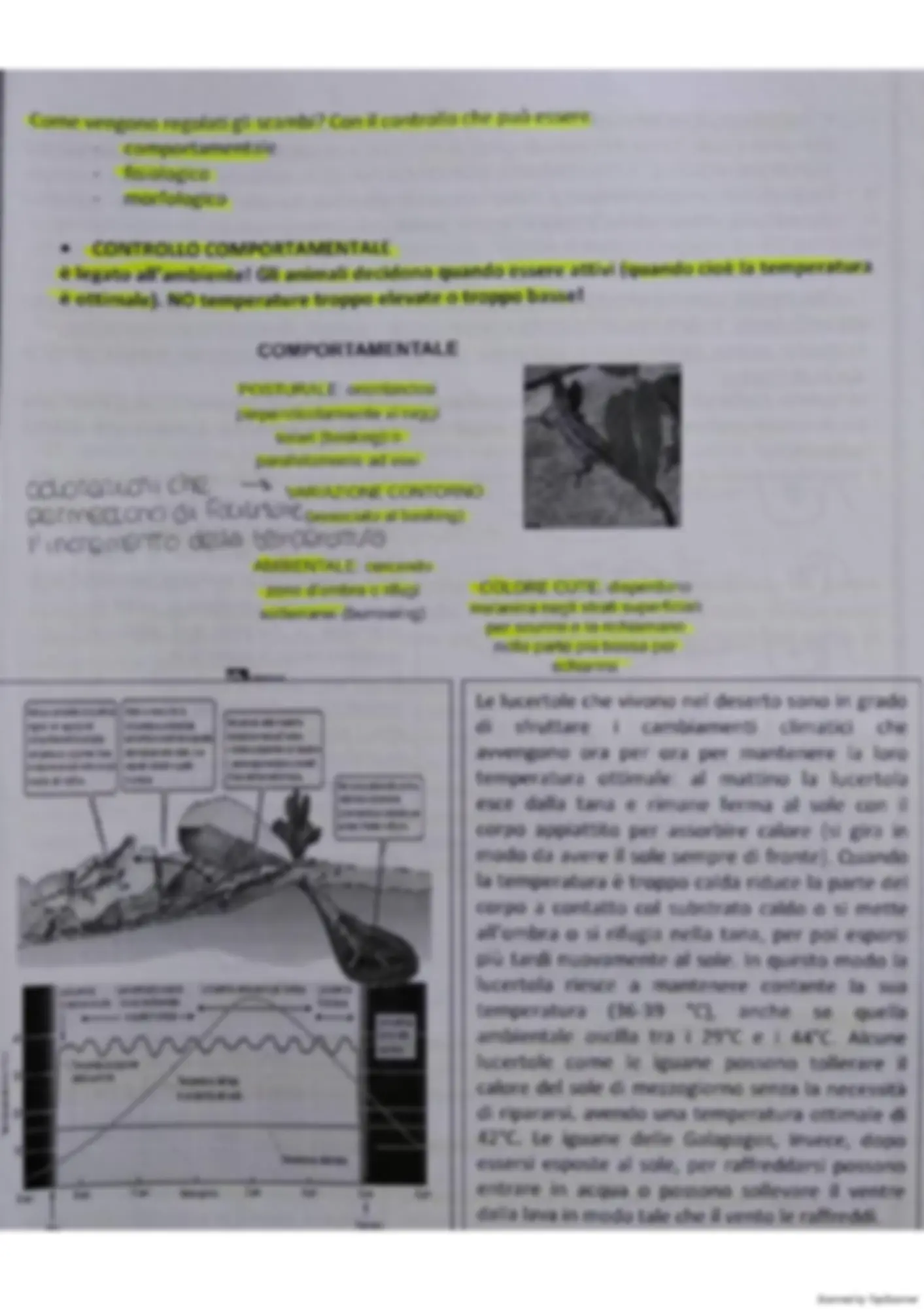pf3