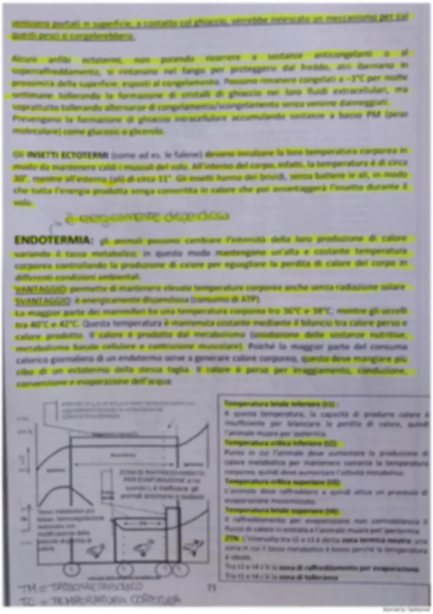pf5