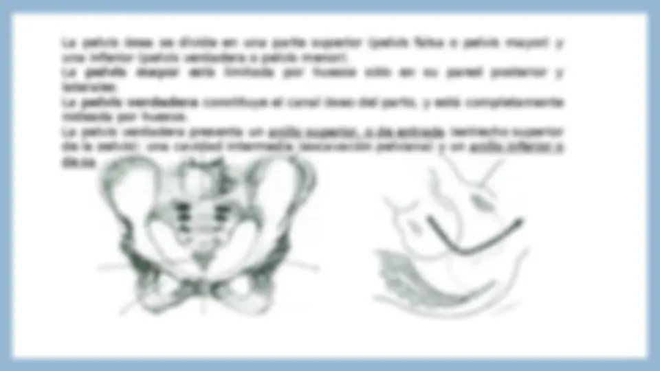 pf4