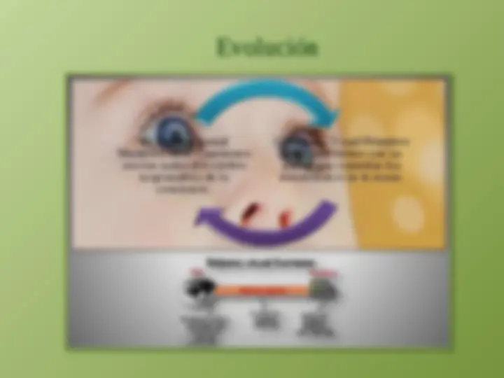 pf4
