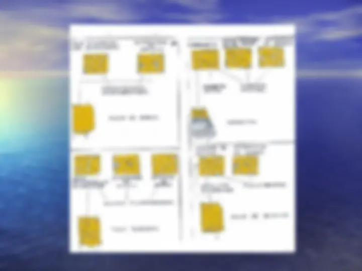 pf29
