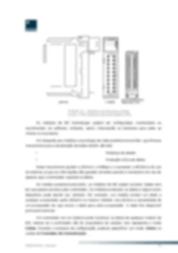 pf21