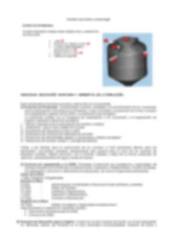pf19